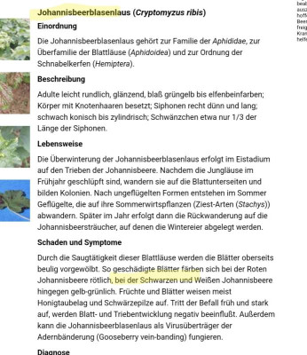 Screenshot_20240501_083027.png