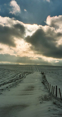 Winterwege_1.jpg