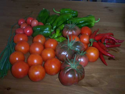 K640_100_5639.JPG