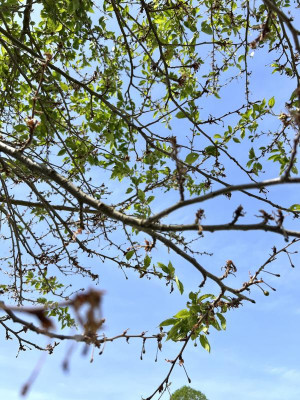 IMG_5435.jpeg
