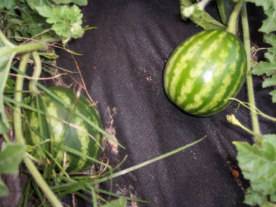 K640_100_5645.JPG