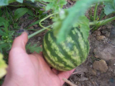 K640_100_5647.JPG