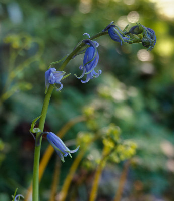 DSC01835_DxO.jpg