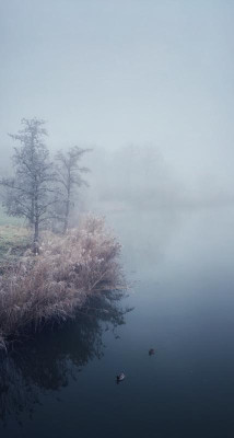 1F264396-5B4D-40D8-B5FD-A01BDC26ED94.jpeg