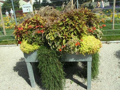 Blumenkasten.jpg