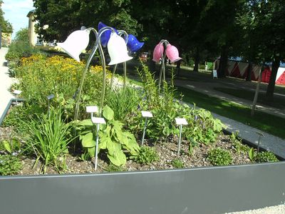 Glockenblumen.jpg