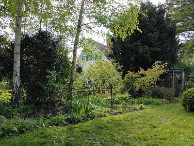 Foerstergarten20240425_163640.jpg