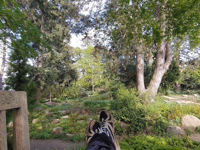 Foerstergarten20240425_172905.jpg
