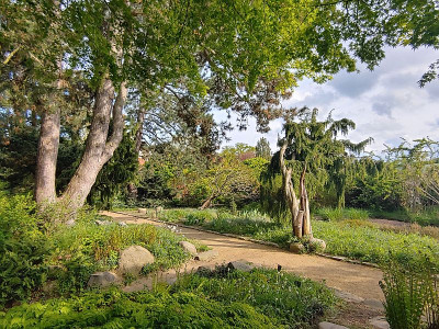 Foerstergarten20240425_172919_HDR.jpg