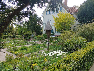Foerstergarten20240427_171841.jpg