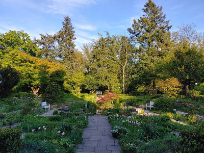Foerstergarten20240427_184842_HDR.jpg