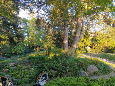 Foerstergarten20240427_193057.jpg