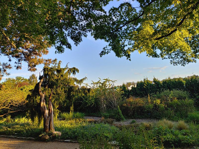 Foerstergarten20240427_193117_HDR.jpg