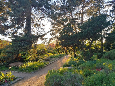 Foerstergarten20240427_193217_HDR.jpg
