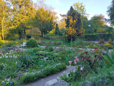 Foerstergarten20240427_193842_HDR.jpg