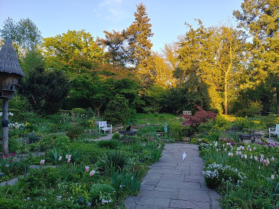 Foerstergarten20240427_193848_HDR.jpg