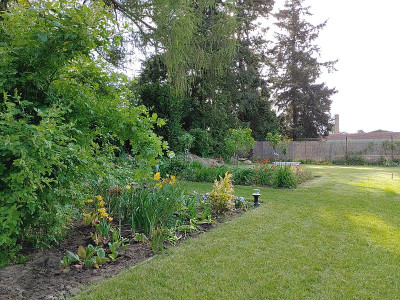 Foerstergarten20240502_175636.jpg