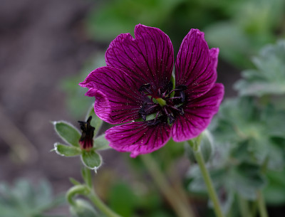 DSC_8570_DxO.jpg