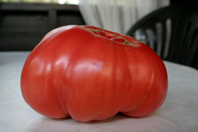 Gregori_Altai_750g_208.jpg