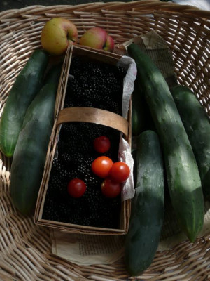ernte_080806.jpg