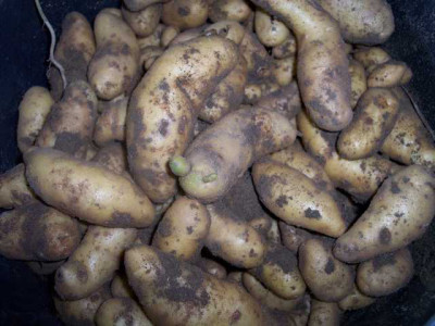 K640_100_5649.JPG