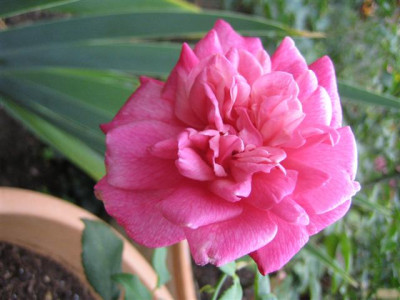 gen.schablikine_8-2008_Small.JPG