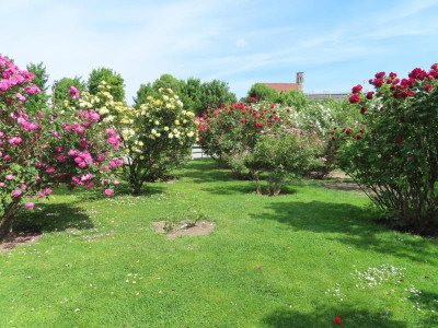 volksgarten1.JPG
