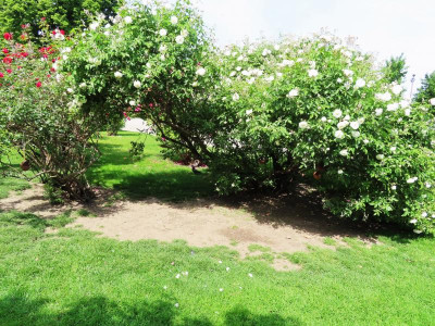 volksgartenschneewittchen.JPG