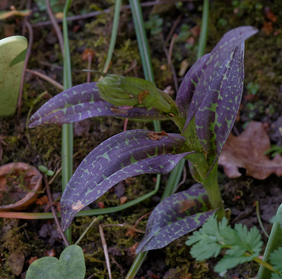 DSC_8573_DxO.jpg