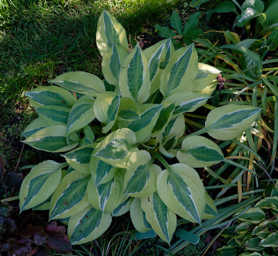 DSC_8571_DxO.jpg