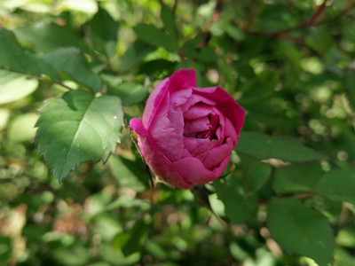 IMG_20240509_115744.jpg