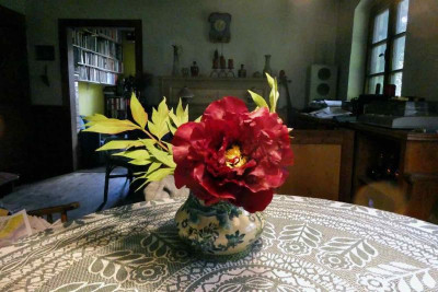 P1143697.jpeg