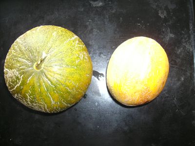 Kolchosbauer__Ananas.jpg