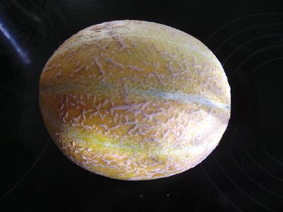 Melone_Ananas.jpg
