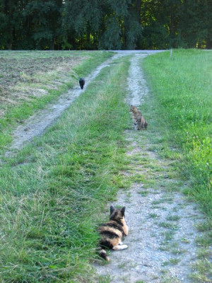 spaziergang3.jpg