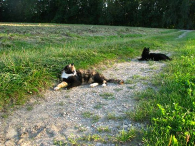 spaziergang41.jpg