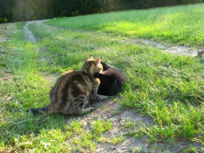 spaziergang51.jpg