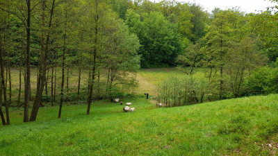 IMG-20240510-WA0021.jpeg