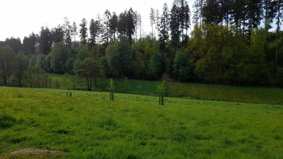 IMG-20240510-WA0000.jpeg