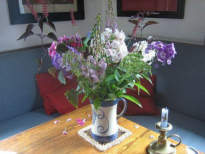 Phloxstrau_24412.jpg