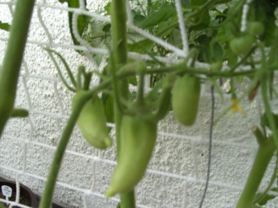 BILD1832.JPG