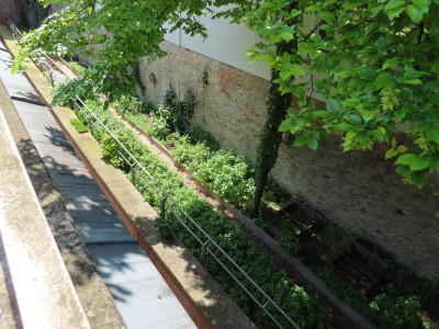 glaciskuechengarten2.JPG