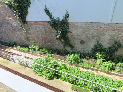 glaciskuechengarten3.JPG