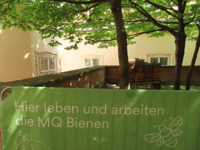 mqbienen.JPG