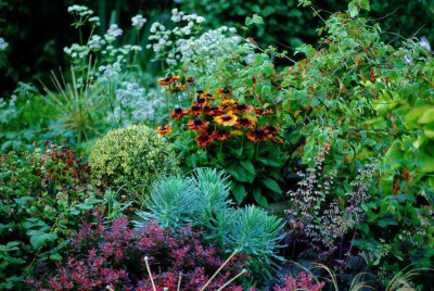 Gartenansichten_1_27-07-2008.jpg
