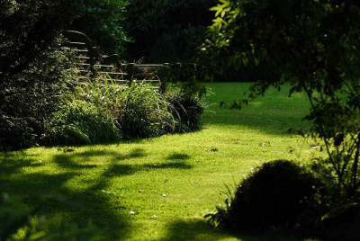 Gartenansichten_1_22-07-2008.jpg