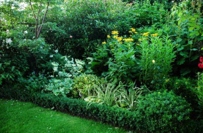 Gartenansichten_1_30-06-2008.jpg