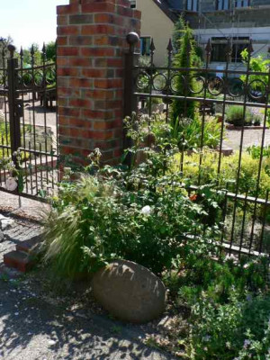 Rose_Stipa.jpg