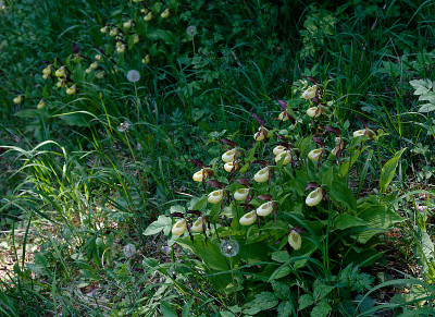 DSC_8577_DxO.jpg
