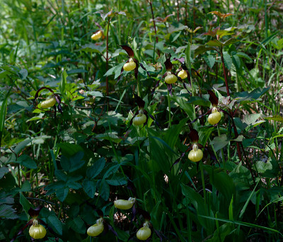 DSC_8587_DxO.jpg